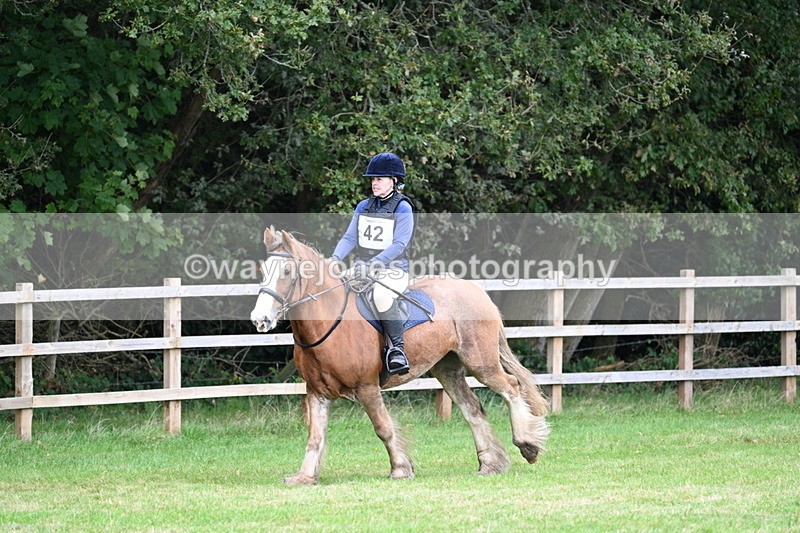 WJ7_7699 - 40cm Time 10:49 to 11:18