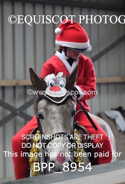 BPP_8954 - CLASS 1 Beginners Show Jumping