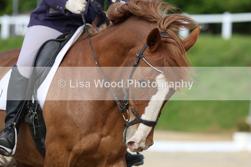 3E7A3366 - Class 2: INTRO B- INTRO 3 2024