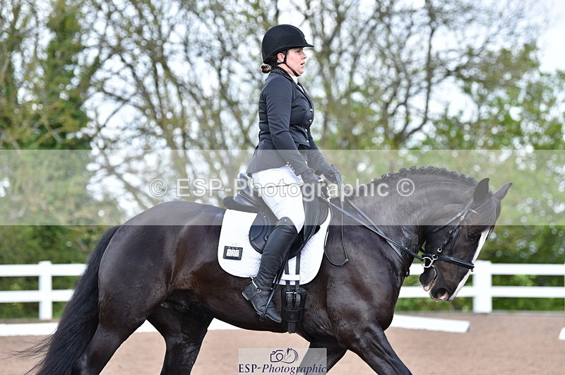 230511A-100611-00197 - BD Cls 2 Prelim 17A