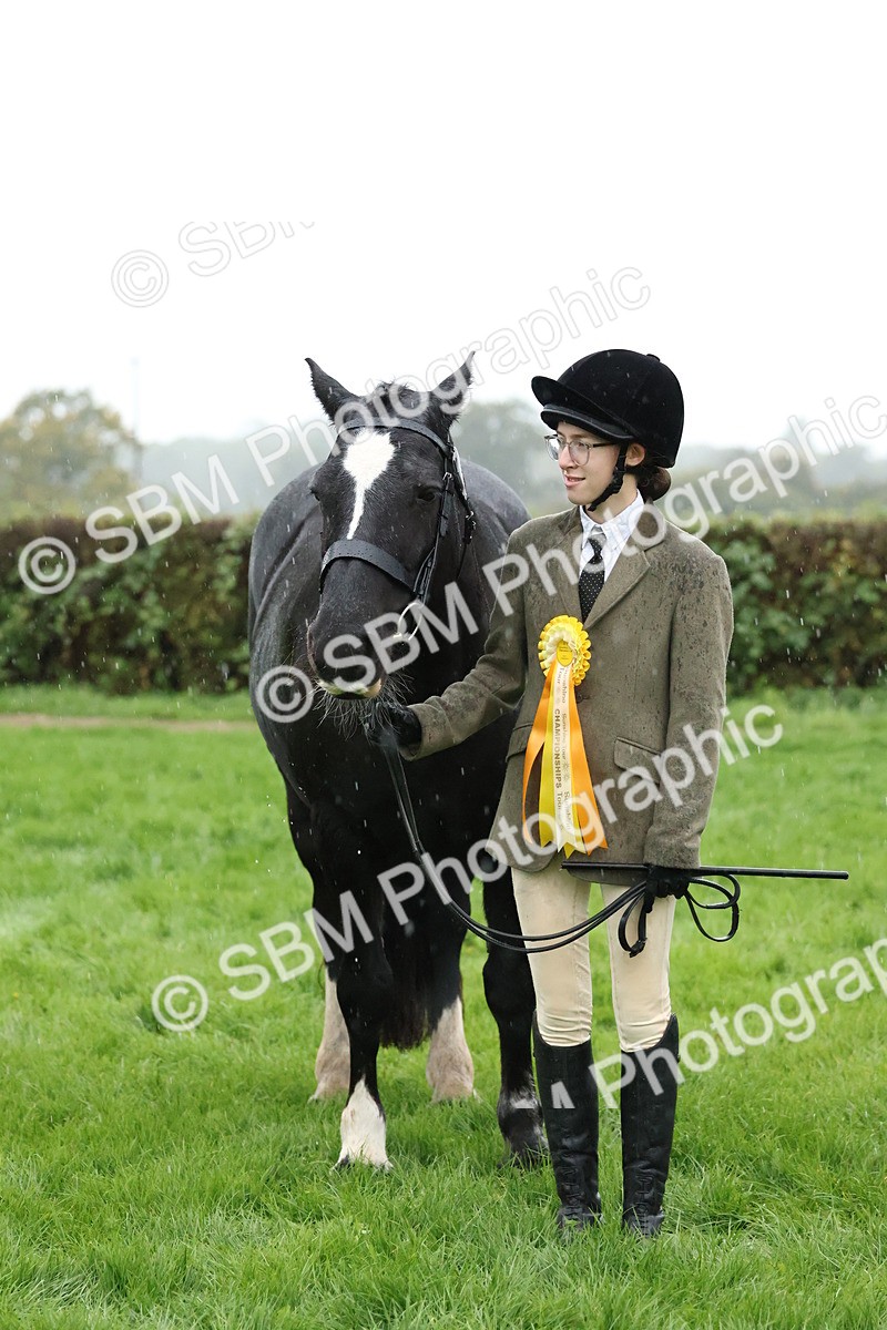 SBM_35378 - S10 - Best In Hand Horse & Pony