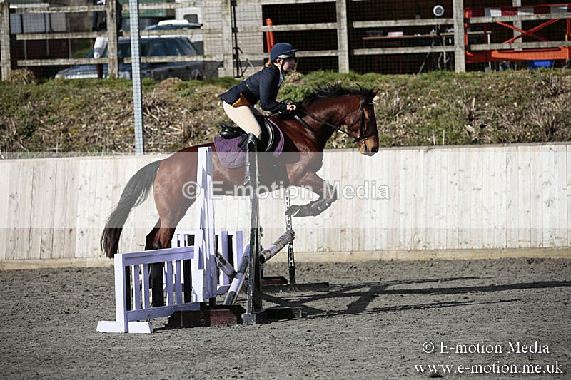 BVRC SJ 170319 51 - Bourne Valley Riding Club Showjumping 17/03/19