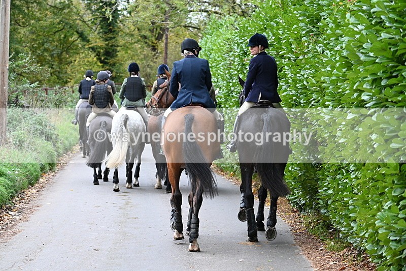 WJ7_7281 - Walk Home..