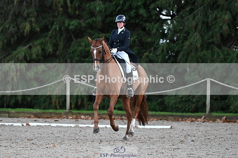 231110-163503-02676 - Cls 14 FEI Grand Prix
