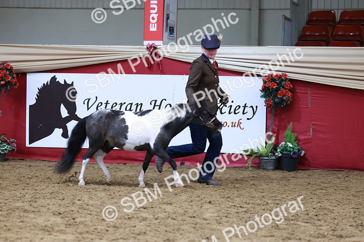 SBM_15729 - Class 110 - IH  Minature Horse