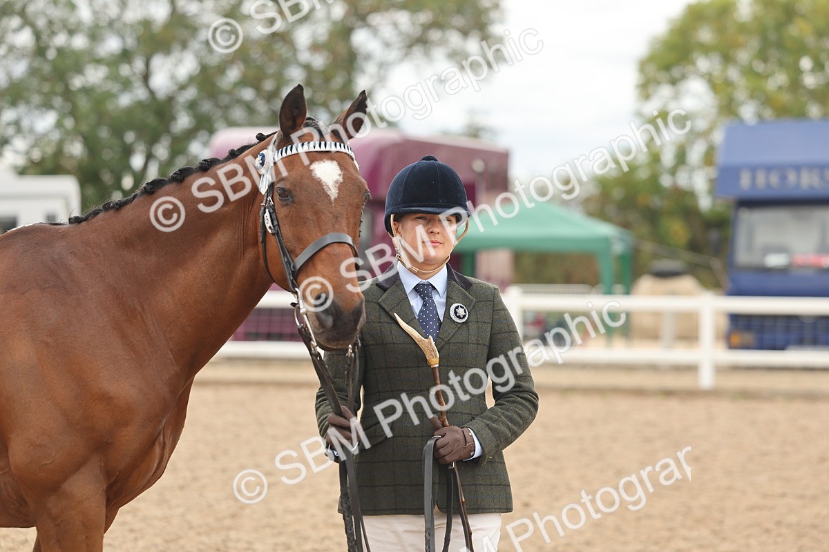 SBM_17106 - Class 313 - IH Retired Racehorse