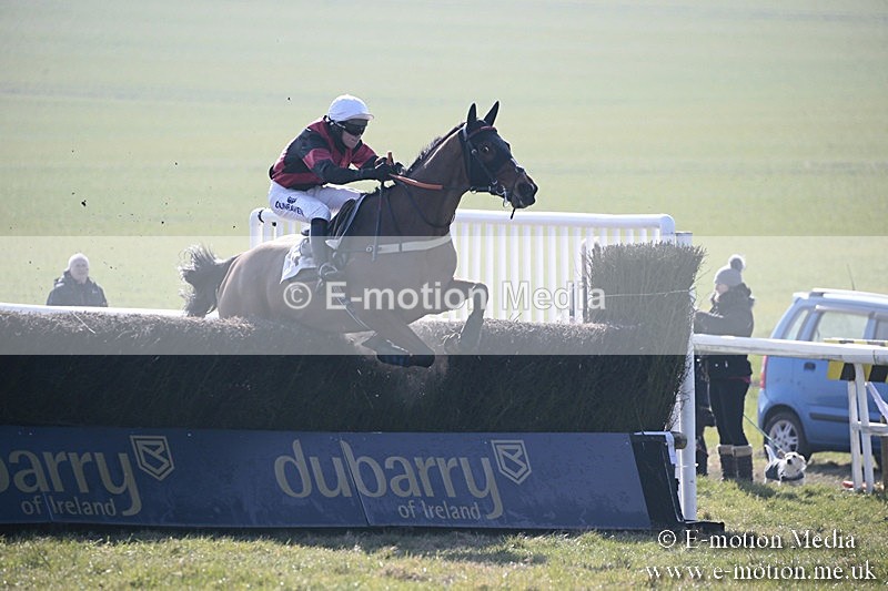 PtP 240218 43 - Vine & Craven Hunt Point-to-Point Barbury racecourse 24/02/18