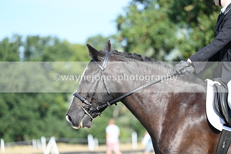 WJ7_9143 - Time 09:27 to 10:03