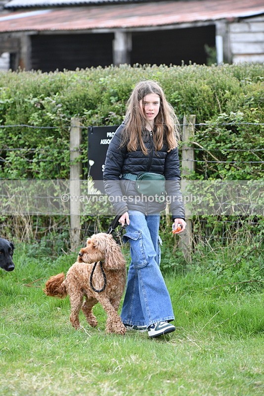 WJ5_9077 - Class 1 Best Cross Breed / Heniz 57