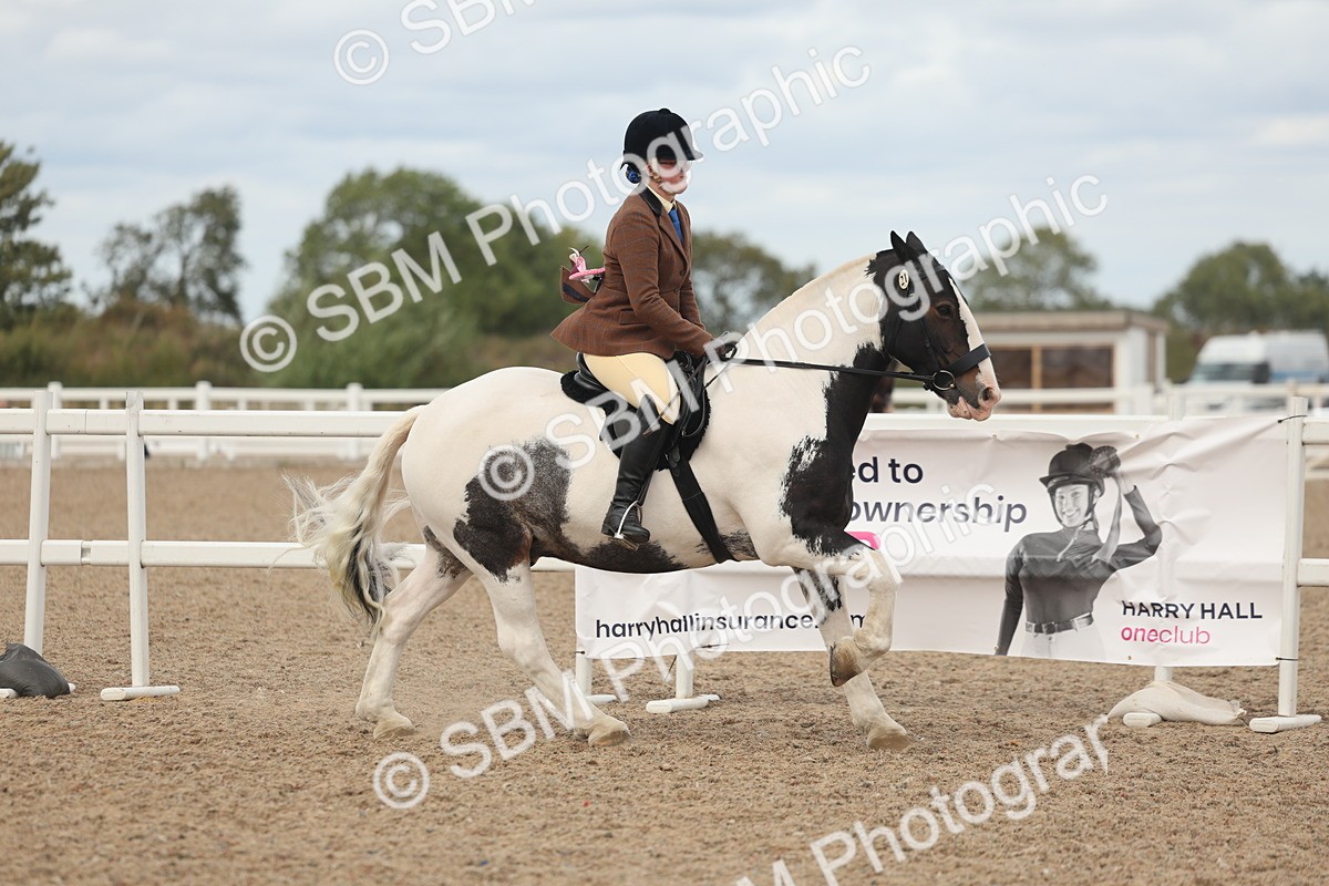 SBM_18101 - Class 314 - Family Horse Pony