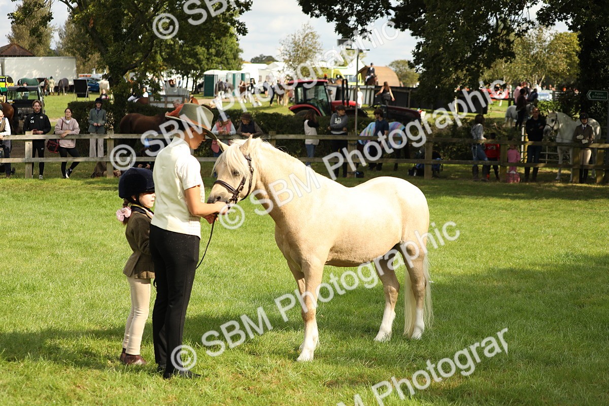SBM_62771 - S46 - Mountain & Moorland In Hand Small Breeds