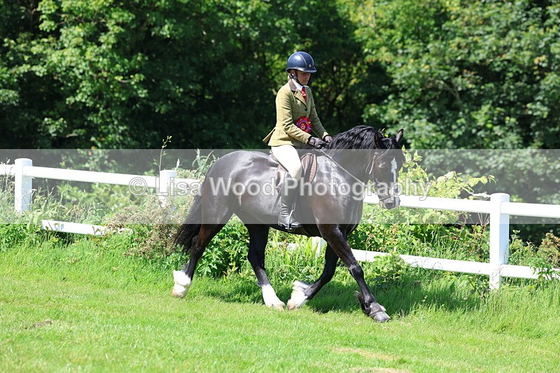 3E7A6737 - Working Hunter Pony Championship