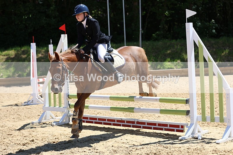 3E7A2518 - Class 4/5: 60cm Open Teams and Individuals