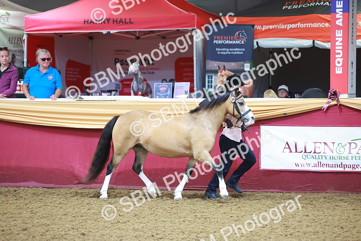SBM_14679 - Class B - Junior Champ 11 to 16 Years