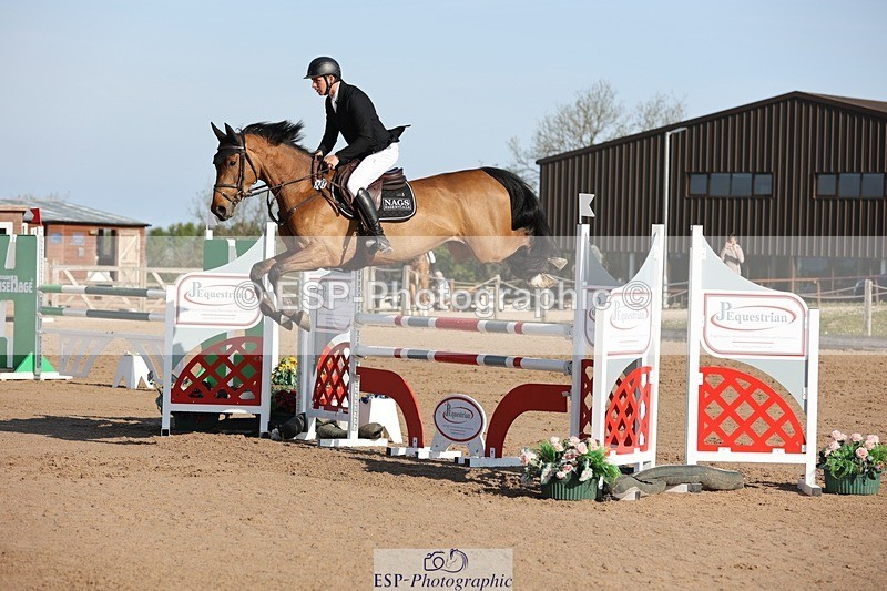 250427-085916-14698 - Cls 28 Young Horse 5yr old