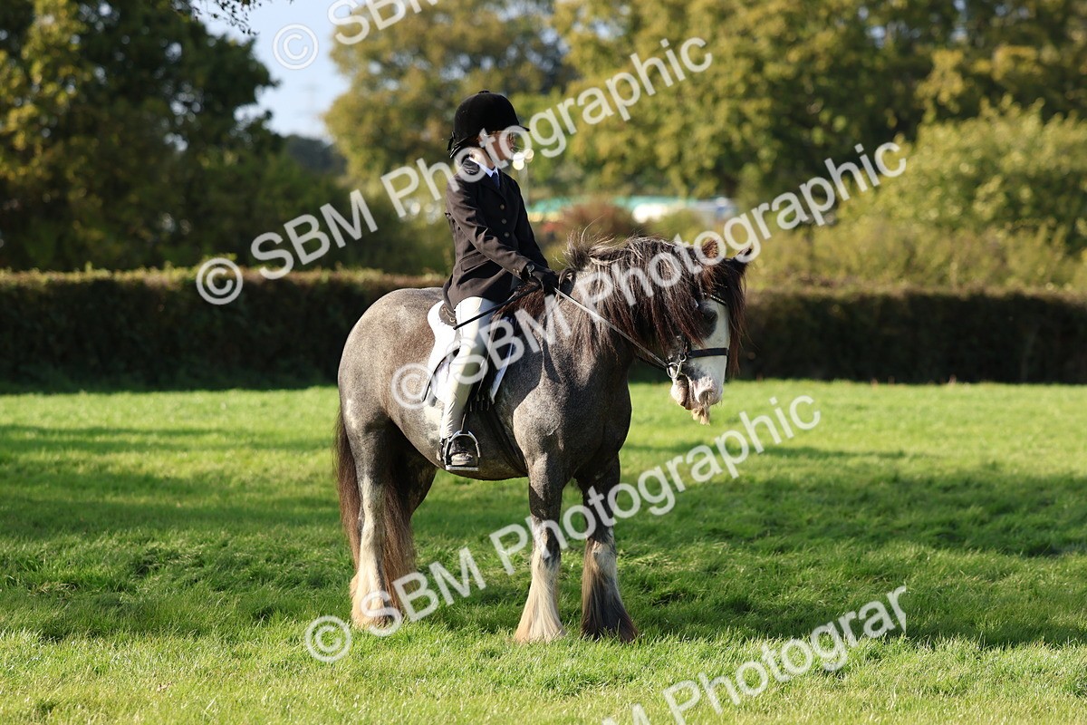 SBM_52469 - S13 - Pony Club Pony