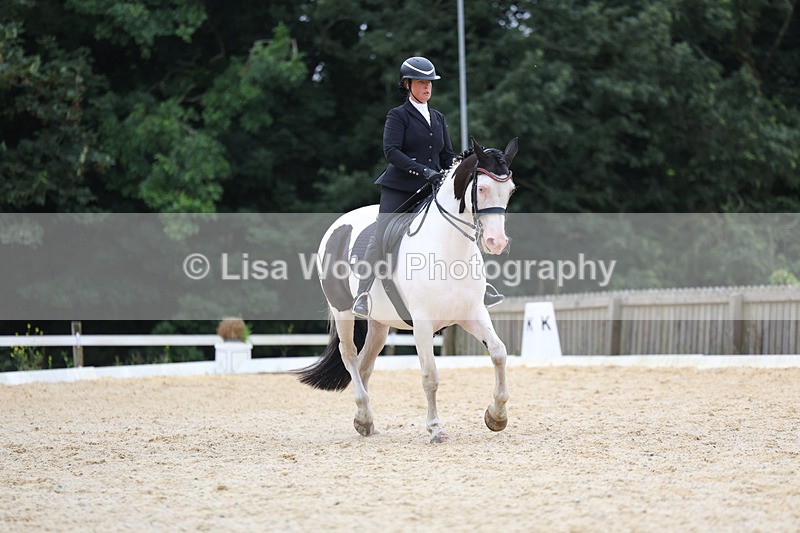 3E7A7377 - Class 9: Elementary 4 2024 - No sections