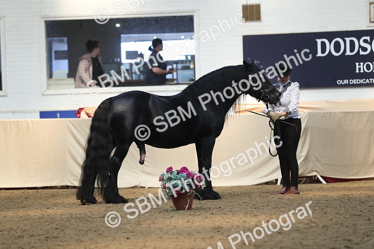 SBM_15166 - Class 501 M&M IH Supreme Final