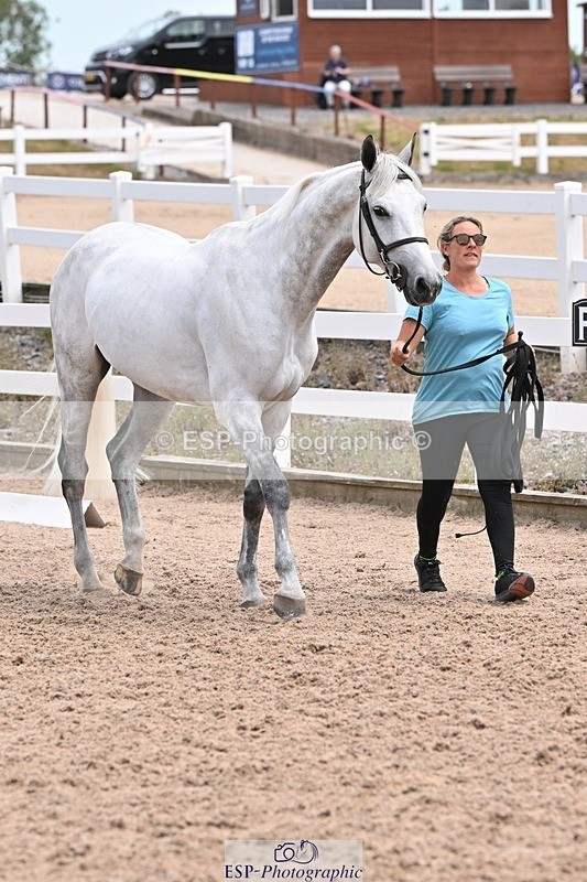 250716-142228-01050 - Trot Up 1.30 to 2.30
