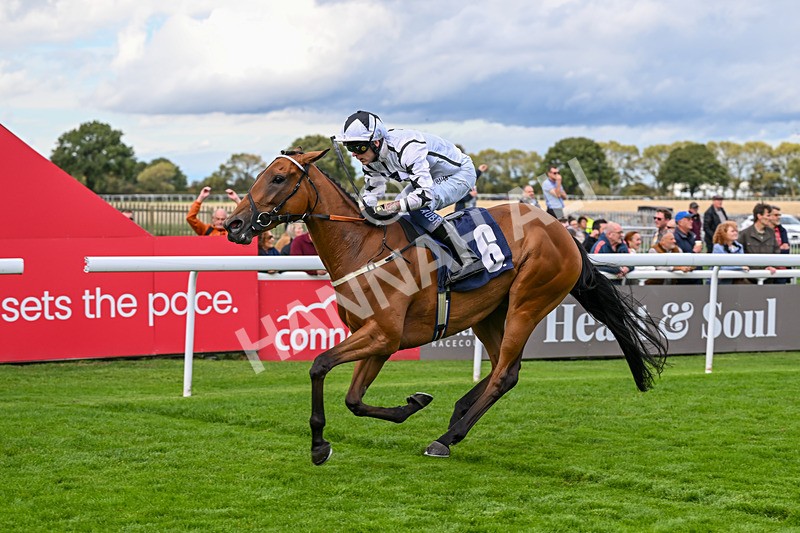 170925-Race 4-Dunkeld Dreamer-4915 - Race 4