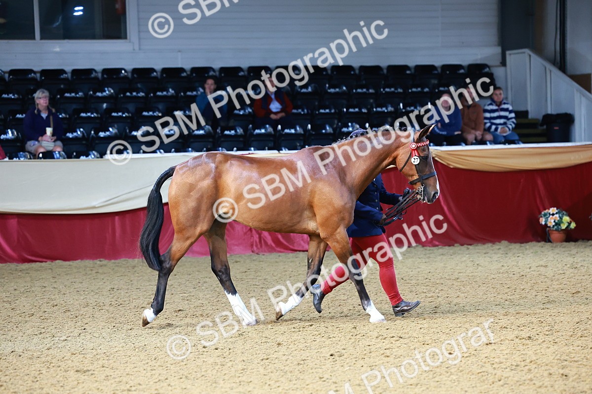 SBM_21749 - Class 901 - Supreme Final - IH  Diamond