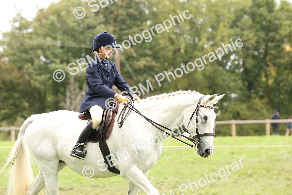 SBM_64135 - S65 - Riding Horse & Hack & Thoroughbred Ridden