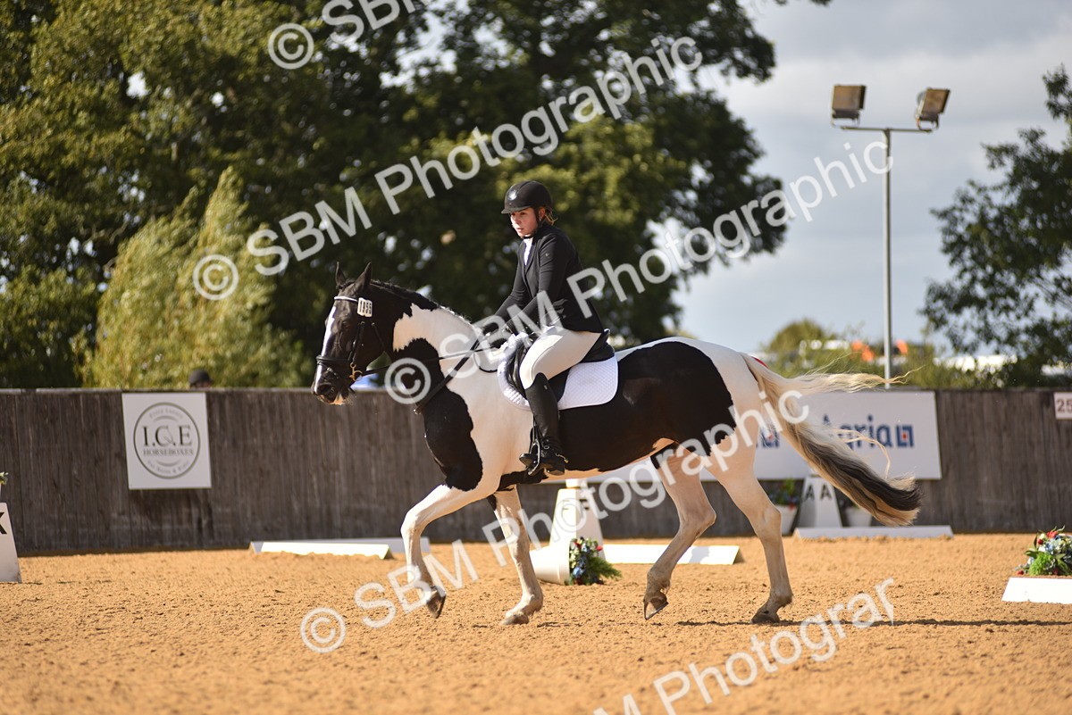 SBM_24308 - D4 - Small Tour Championship Intro 4