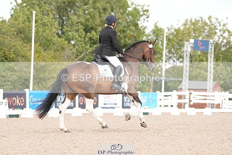 250906-110603-01949 - 026-Alison.McCarthyFarleaze.Lady.Sylvia