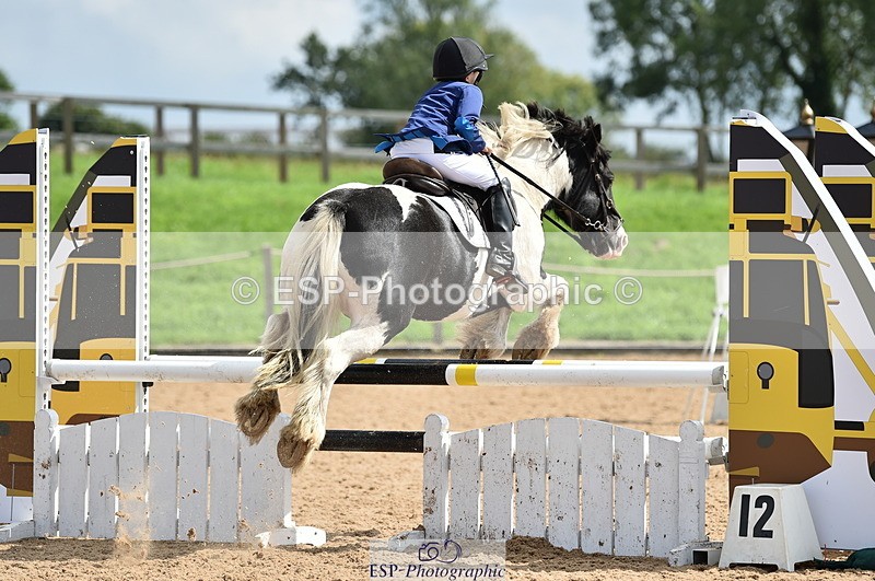 230902A-130620-01316 - Cls 3A Pony Medium 80cm