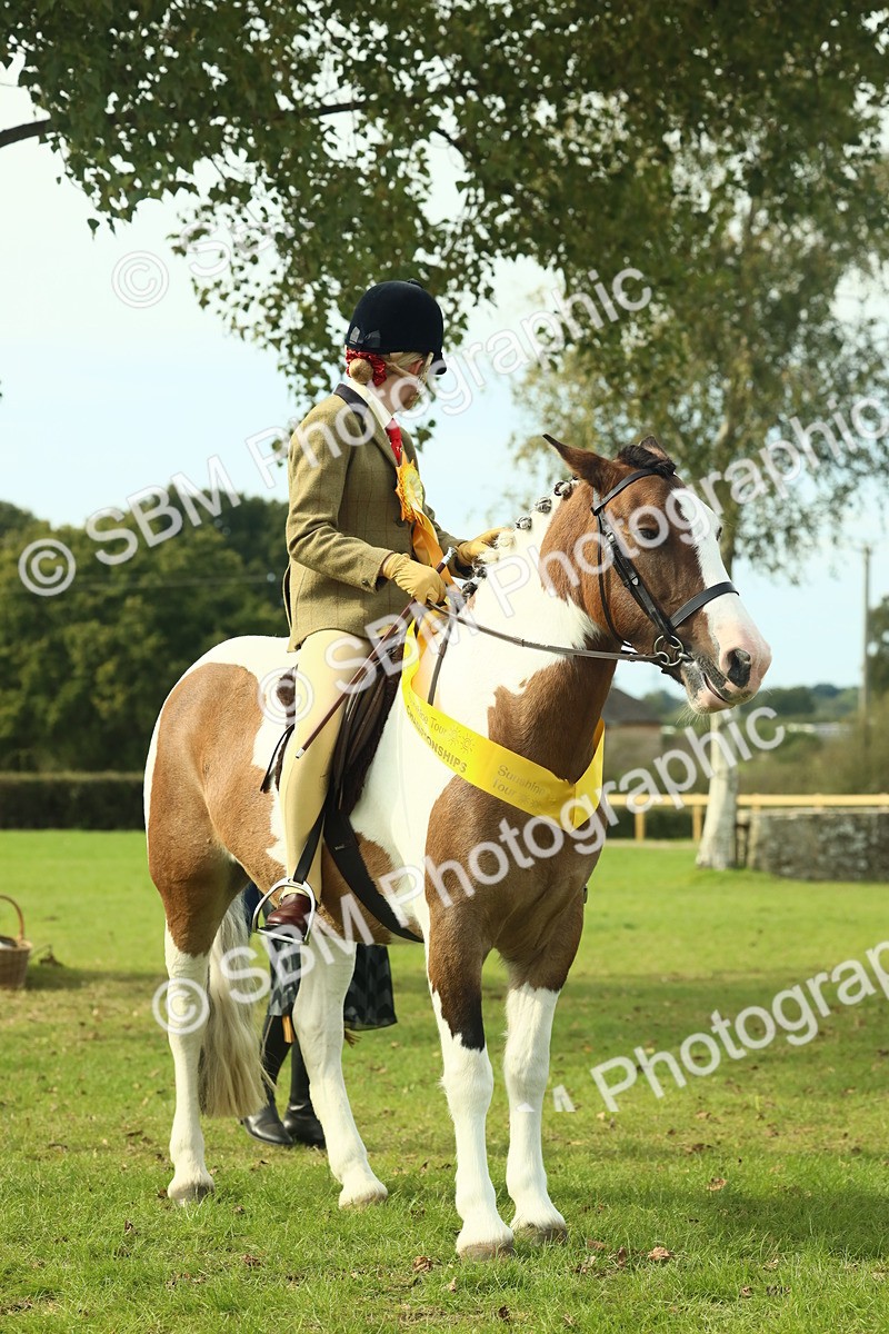 SBM_68142 - S57 - Part Bred Pony Ridden
