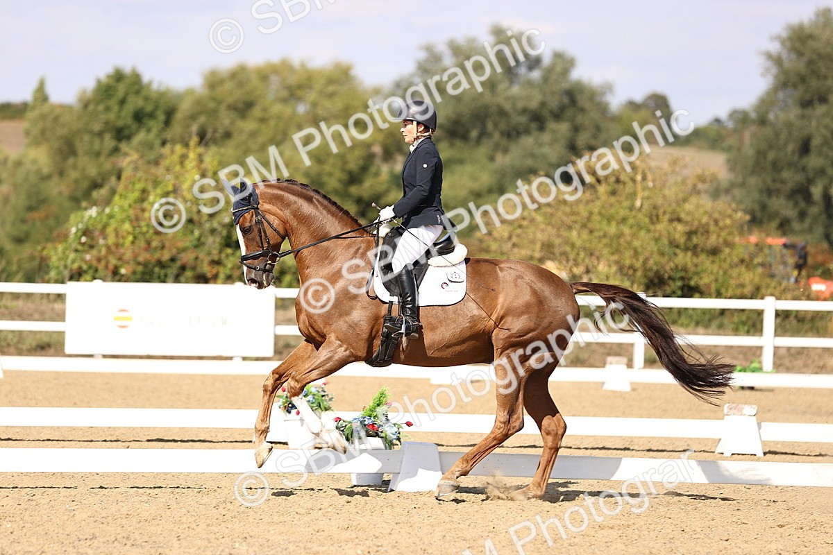 SBM_015248 - Class 8 - Medium 5