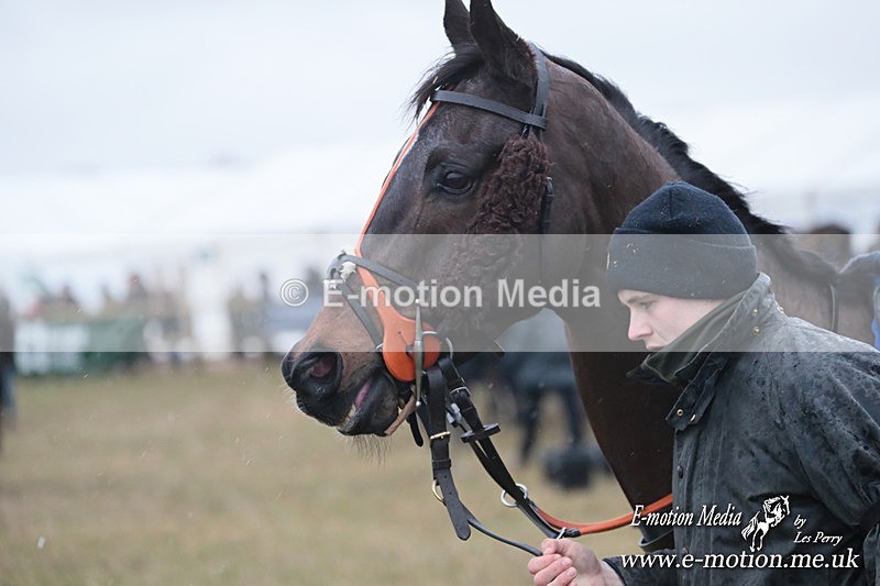 PtP 260125 145 - Cocklebarrow Point-to-Point racing with the Heythrop Hunt 26/01/25