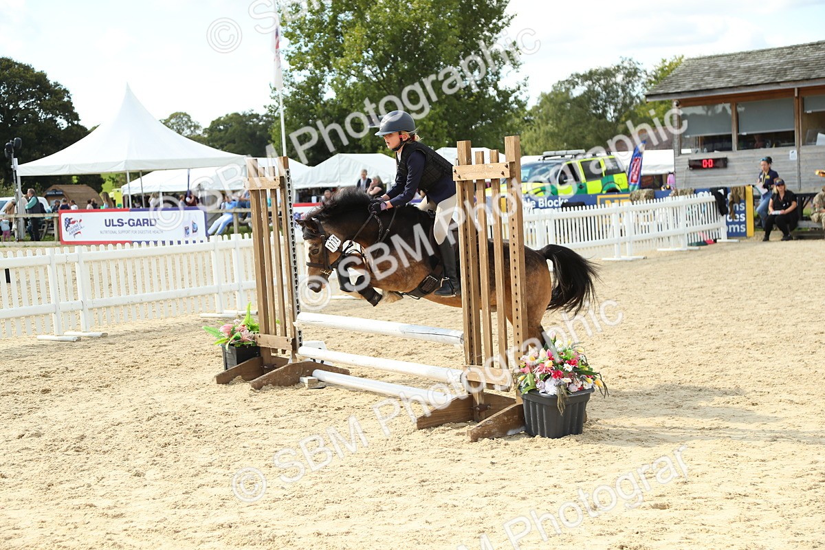 SBM_39492 - J6 - Junior Pony 55cm Championships
