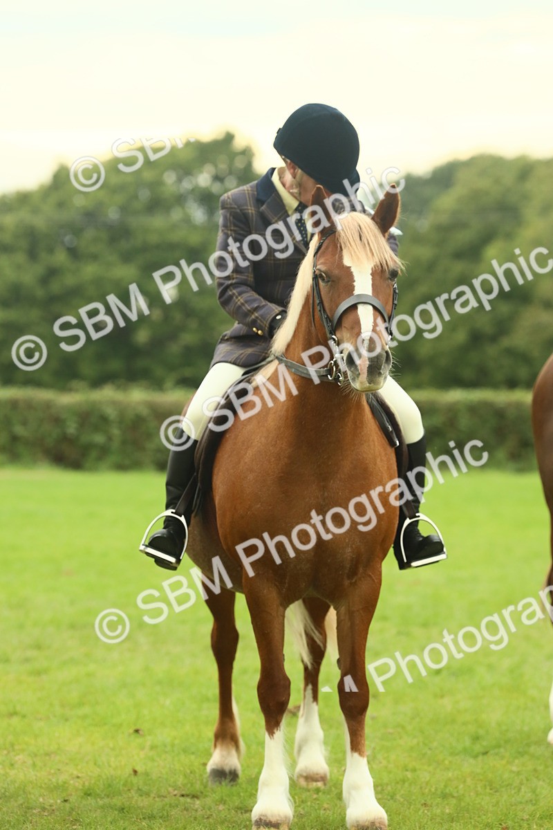 SBM_72218 - S60 - Mountain & Moorland Ridden Large Breeds