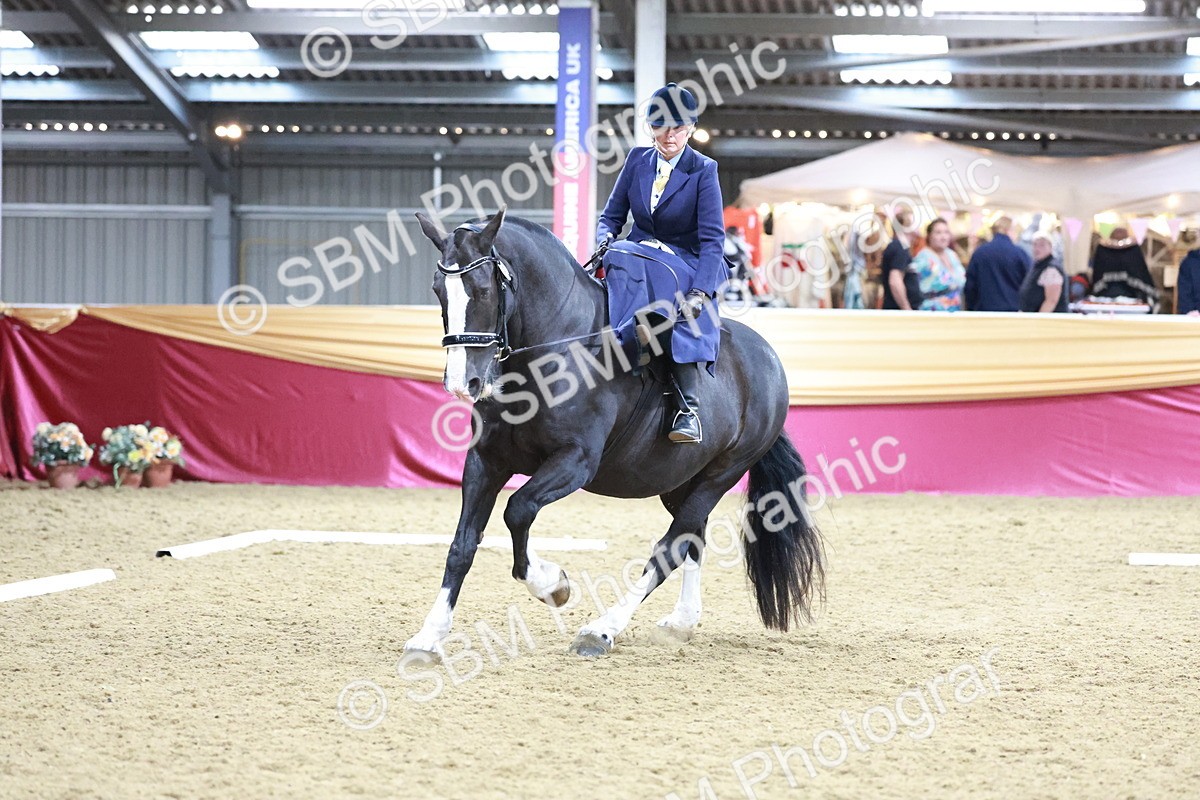 SBM_09934 - Class 61 - Dressage to Music