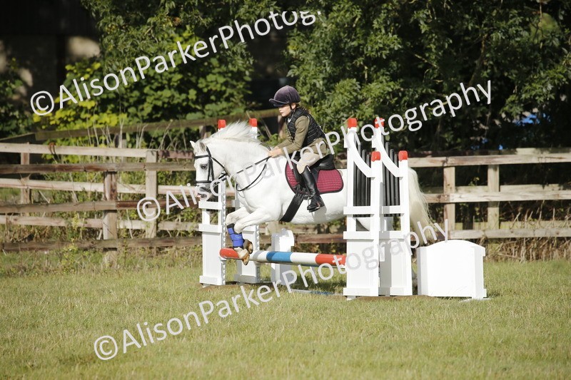 20250831-0011 - Class 1 - 50cm