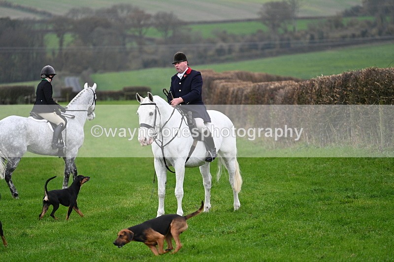 WJ7_8825 - Meet Staff & Hounds