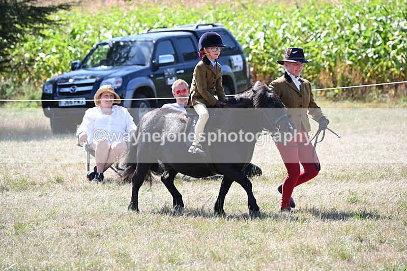 WJ6_8087 - Class 36 Lead Rein