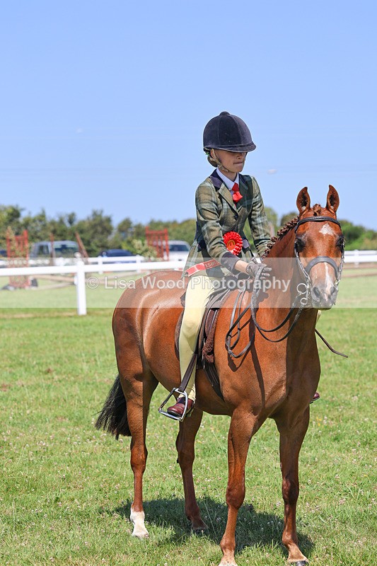IMG_2142 - Plaited Ridden Championship