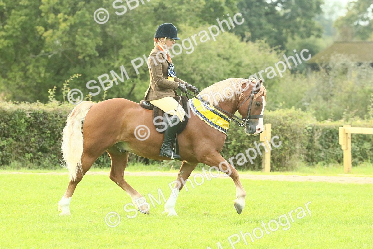 SBM_75342 - Super Supreme Championship