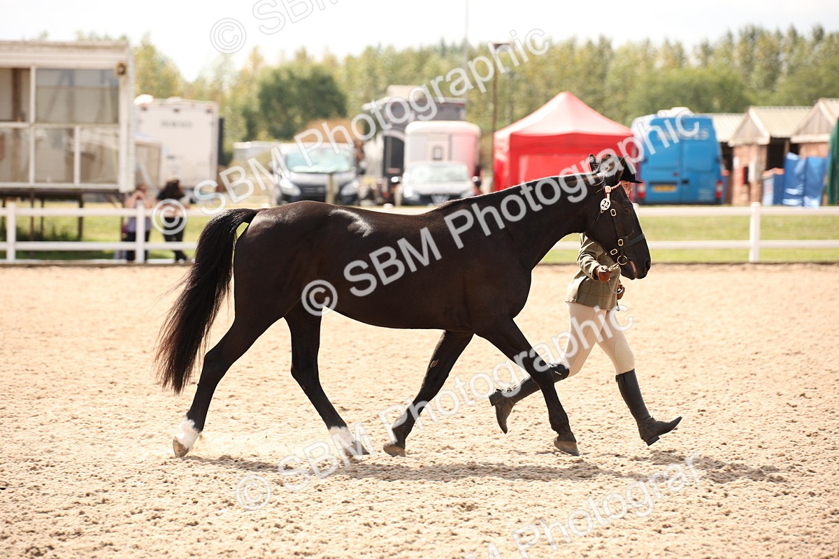 SBM_04623 - Class 20 IH Veteran