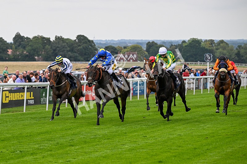 290826-Race 1-Trilby-5245 - Race 1 1.45pm Blink And You Miss It Sprint Handicap