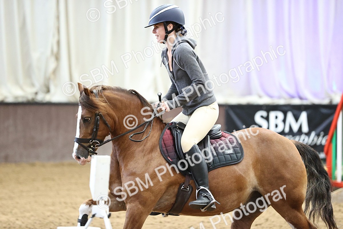 SBM_009223 - 50cm