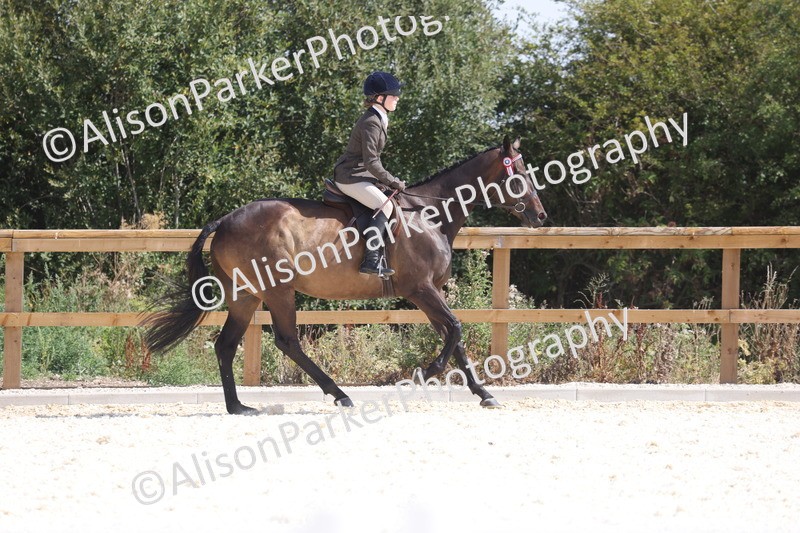 20260802-0714 - Class 8 - Best Riding Horse or Pony