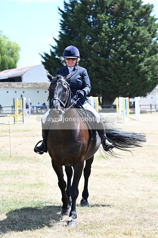 WJ7_2822 - Class 7 Riding Club Show Horse
