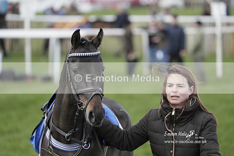 PtP PR 100423 7 - Pony Racing Lockinge 100423