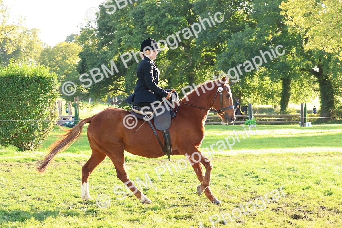 SBM_53003 - S29 - Mature Veteran Ridden
