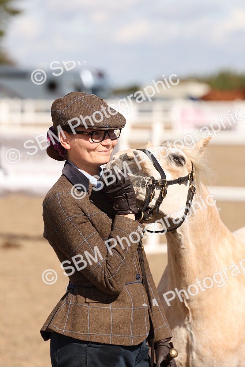 SBM_13956 - Class 205 - IH Show Pony - Show Hunter Pony