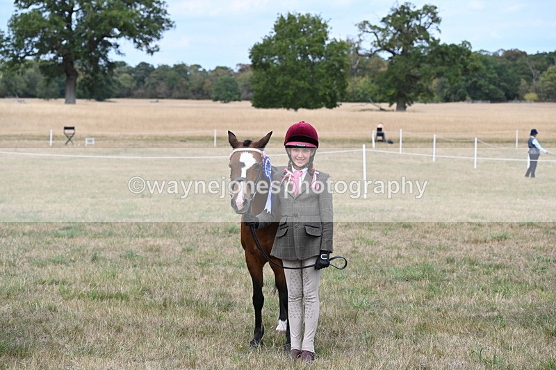 WJ6_6280 - Class 19 In-hand Veterans (Uploaded correct folder)