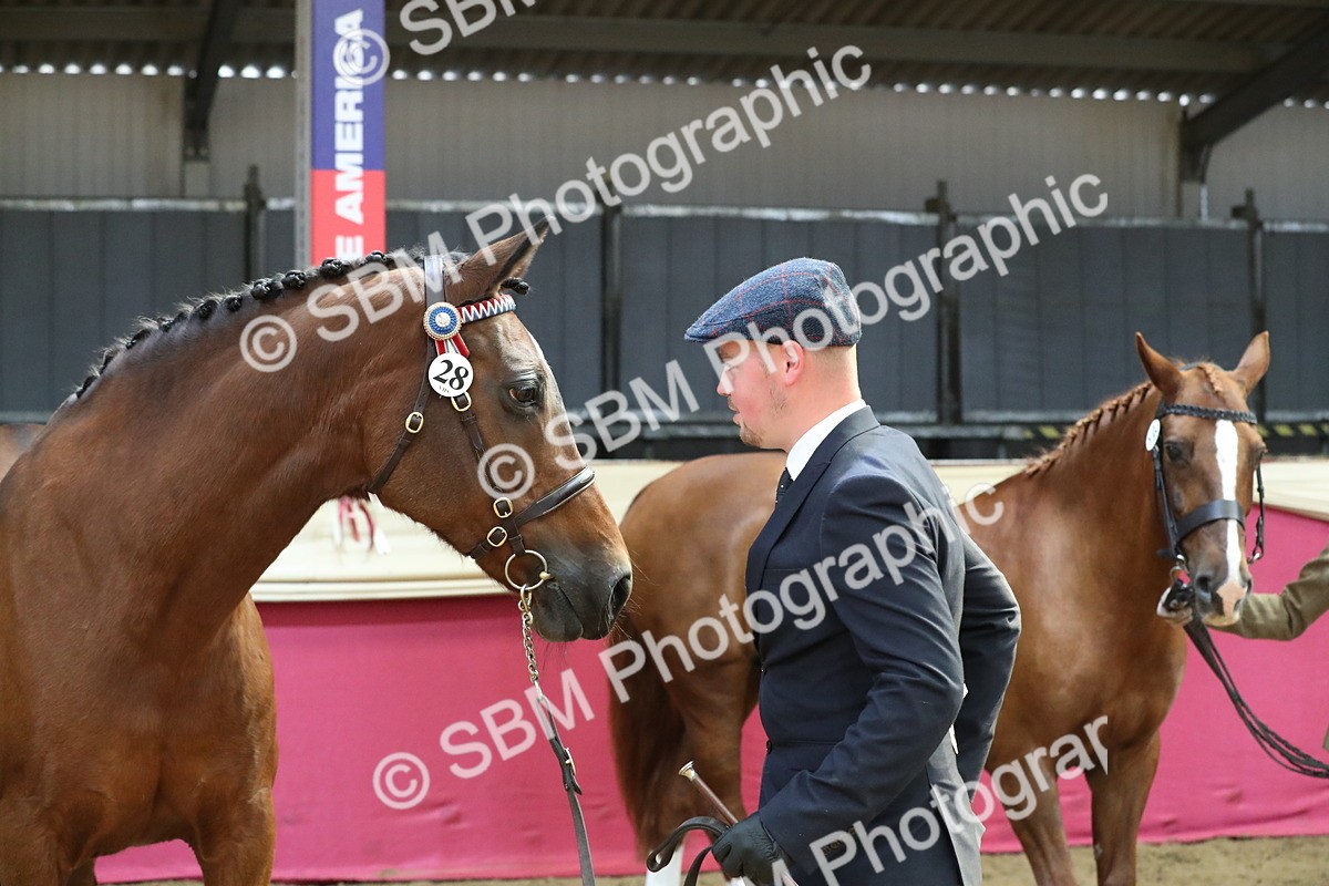 SBM_04431 - Class 7R Regional - IH Diamond